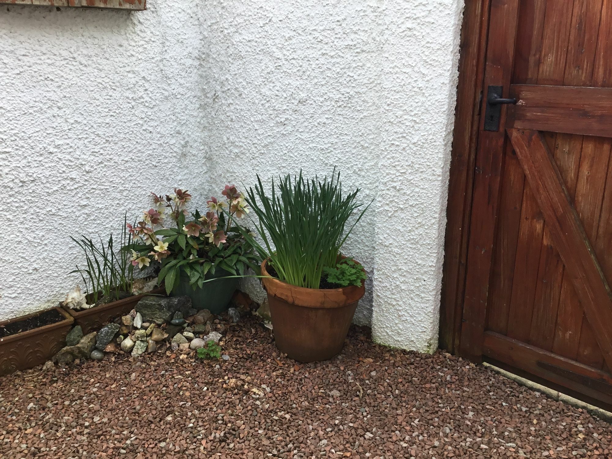 Ingleneuk Bed And Breakfast Edinburgh Luaran gambar